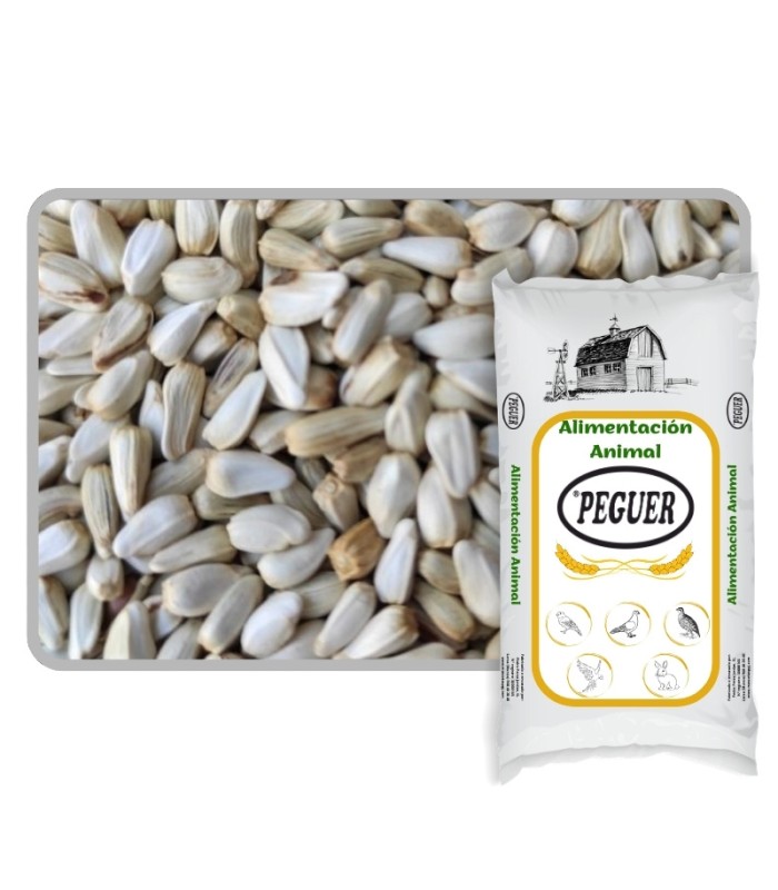 Semilla de Alazor para Pájaros (Cártamo) 20 KG | Calidad Premium