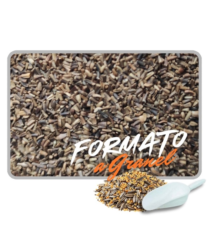 escarola 1 kg