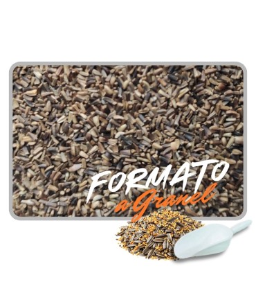 escarola 1 kg