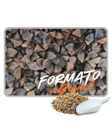 alforfon 1 kg