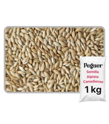 alpiste 1 kg