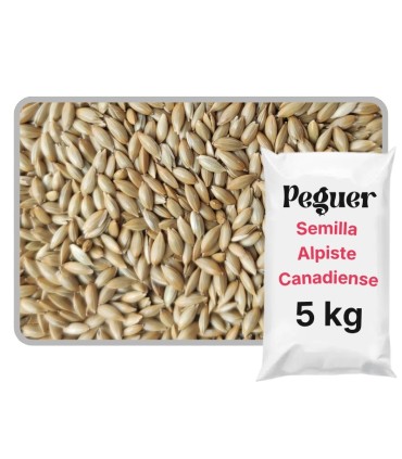 alpiste bolsa 5 kg