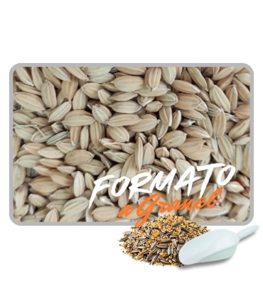 arroz cascara 1 kg