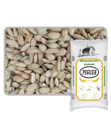 arroz cascara 25 kg