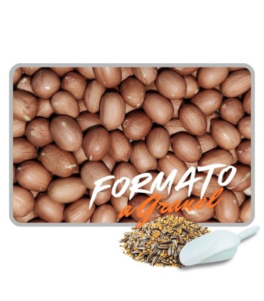 cacahuetes pelados 1 kg