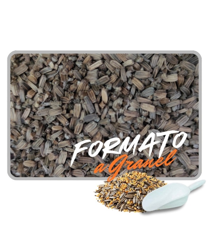 cardon 1 kg