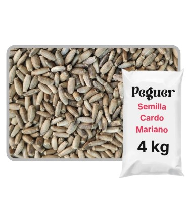 cardo mariano bolsa 4 kg