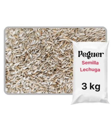 lechuga blanca bolsa 3 kg