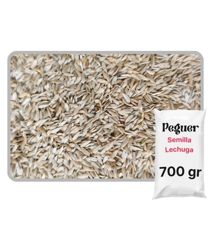lechuga blanca bolsa 700 gr