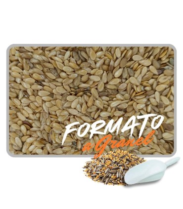 linaza dorada 1 kg