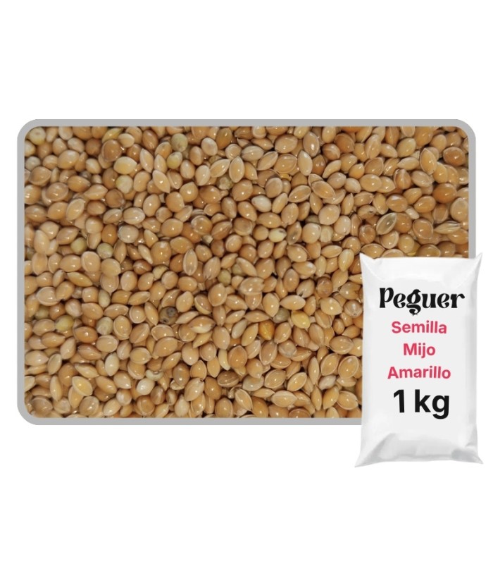 mijo amarillo 1 kg
