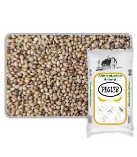 paniset 25 kg