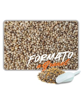 paniset 1 kg