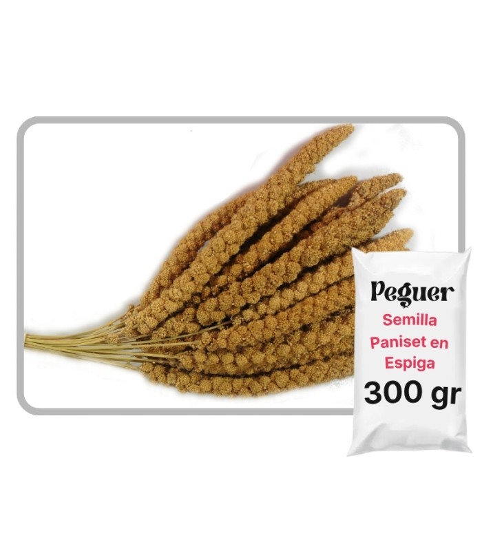 paniset mijo en espiga amarillo 300 gr