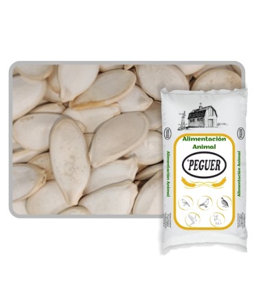 pipas calabaza 25 kg