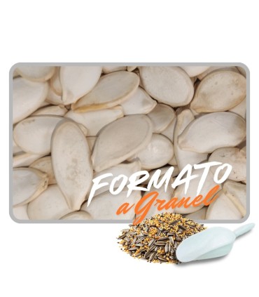 pipas calabaza 1 kg