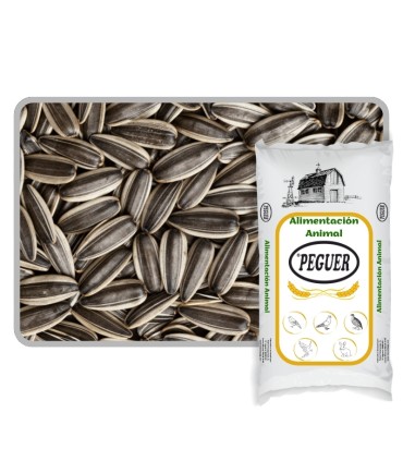pipas hungaras iregui 25 kg