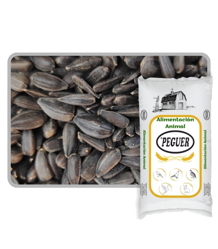 pipas negras 25 kg