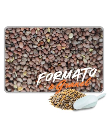 Semilla de Rábano para Pájaros | Depurativo e Inmune 1 kg