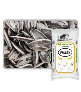 pipas usa loro 20 kg