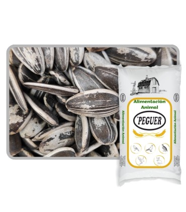 pipas usa loro 20 kg