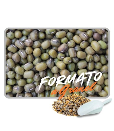 soja verde 1 kg