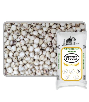 sorgo blanco 25 kg