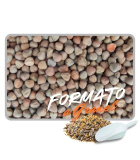 Semilla de Yeros para Palomas y Aves | Proteína Pura 1 kg