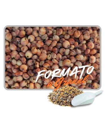 sorgo rojo 1 kg