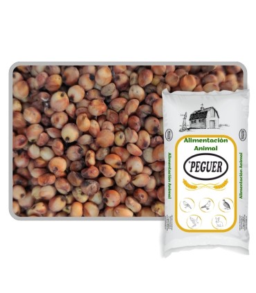 sorgo rojo 25 kg