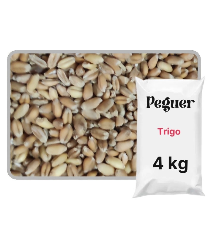 Trigo en Grano para Gallinas y Aves 4 kg | Calidad Limpia