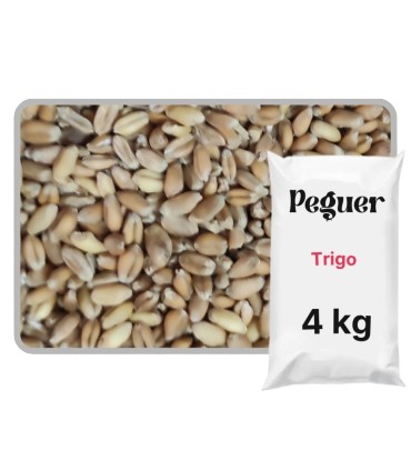 Trigo en Grano para Gallinas y Aves 4 kg | Calidad Limpia