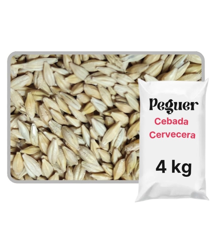 cebada cervecera bolsa 4 kg