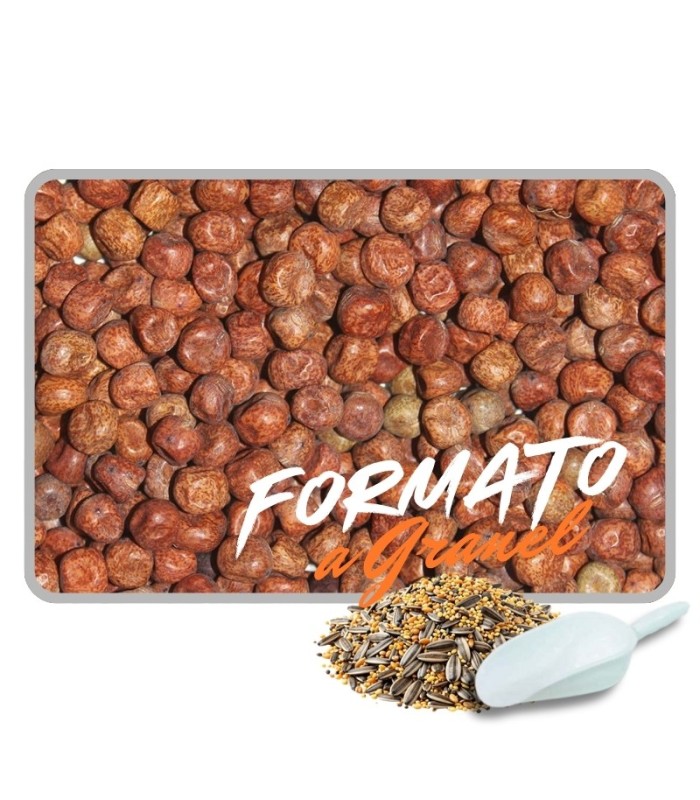 Guisante de Tasmania para Palomas 1 kg | Calidad Premium Extra