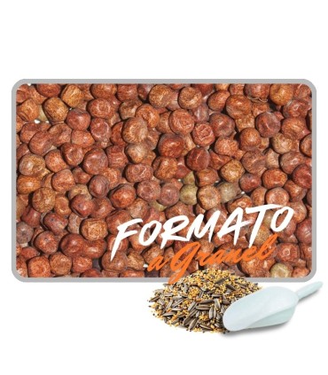 Guisante de Tasmania para Palomas 1 kg | Calidad Premium Extra