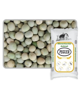 guisantes verdes saco 25 kgxxxx 025Ekg
