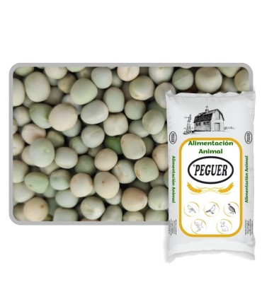 guisantes verdes saco 25 kgxxxx 025Ekg