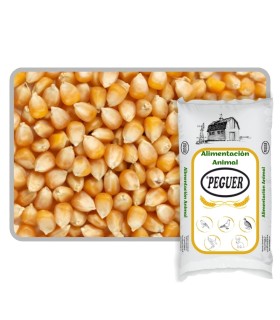 maiz palomitas saco 25 kgxxx 025Ekg