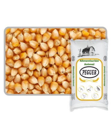 maiz palomitas saco 25 kgxxx 025Ekg