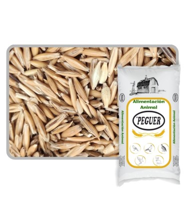 avena rubia 25 kg