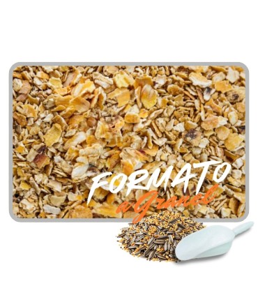 maiz en copos 1 kg
