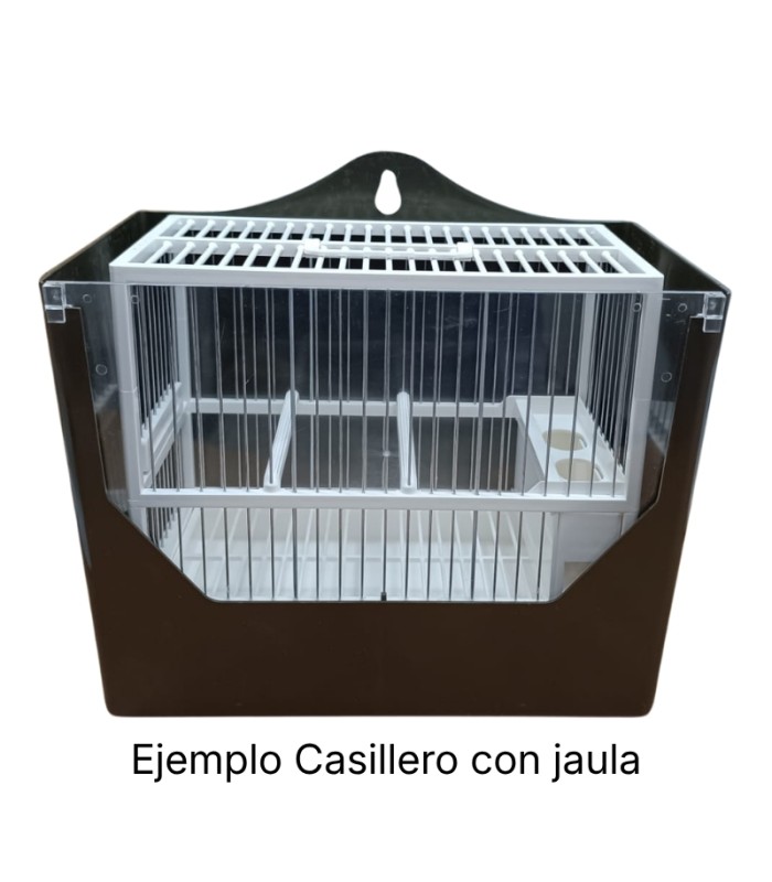 casillero c 20 cfrontal verde