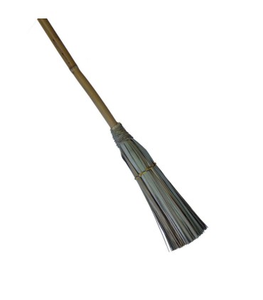 escoba palma