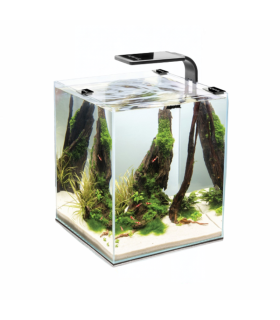 acauario completo 19lt 25x25x30 shrimp negro