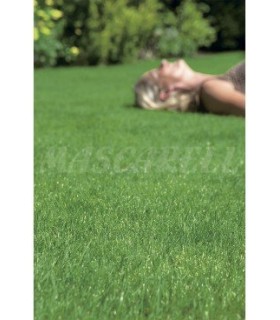 m 5031 mezcla cesped rustic basic multiusos 1 k