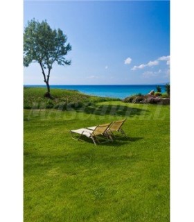 m 5033 mez cesped mediter con grama fina 1 kg