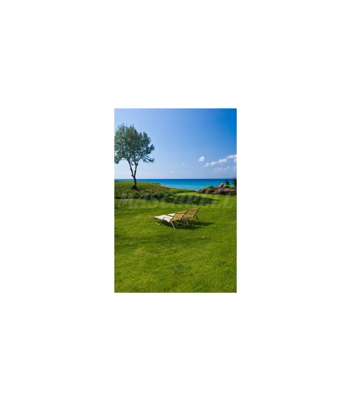 m 5033 mez cesped mediter con grama fina 1 kg