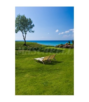 m 5033 mez cesped mediter con grama fina 1 kg