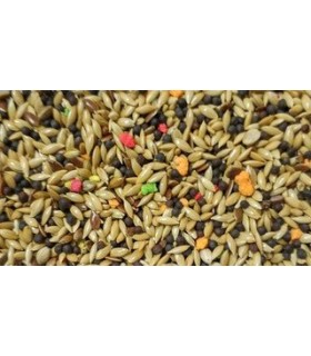 peguer mixtcanarios savena extra saco 20 kg