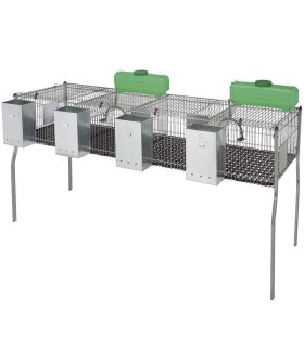 10954 jaula conejos penta 4 dptplas